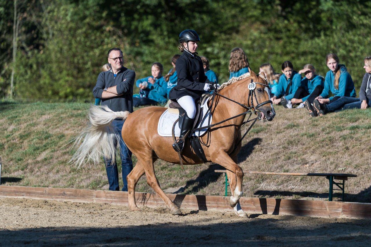 Bild 82 - Pony Akademie Turnier